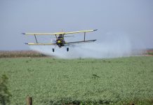 Entre Ríos: la Justicia amplió de 500 a 3000 metros las distancias mínimas para fumigar con agrotóxicos