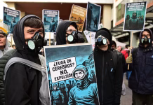 “No al Cientificidio”: el reclamo de miles de científicos del Conicet ante el recorte de presupuesto
