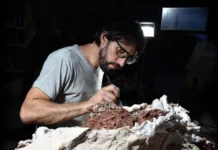 El Conicet sigue haciendo historia