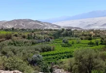 13 millones de hectáreas en el país están bajo control extranjero