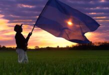 Rarezas de las tierras en manos extranjeras