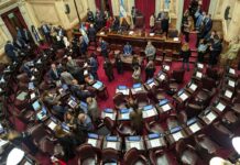 Exigen al Senado frenar la “entrega de la tierra, el agua y la energía” a capitales extranjeros